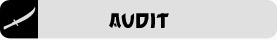 Audit
