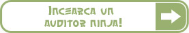 Auditor ninja