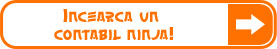 Contabil ninja