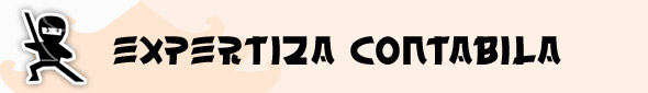Expertiza contabila